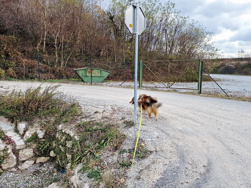 Žrebljev hrib, 15. 11. 2025