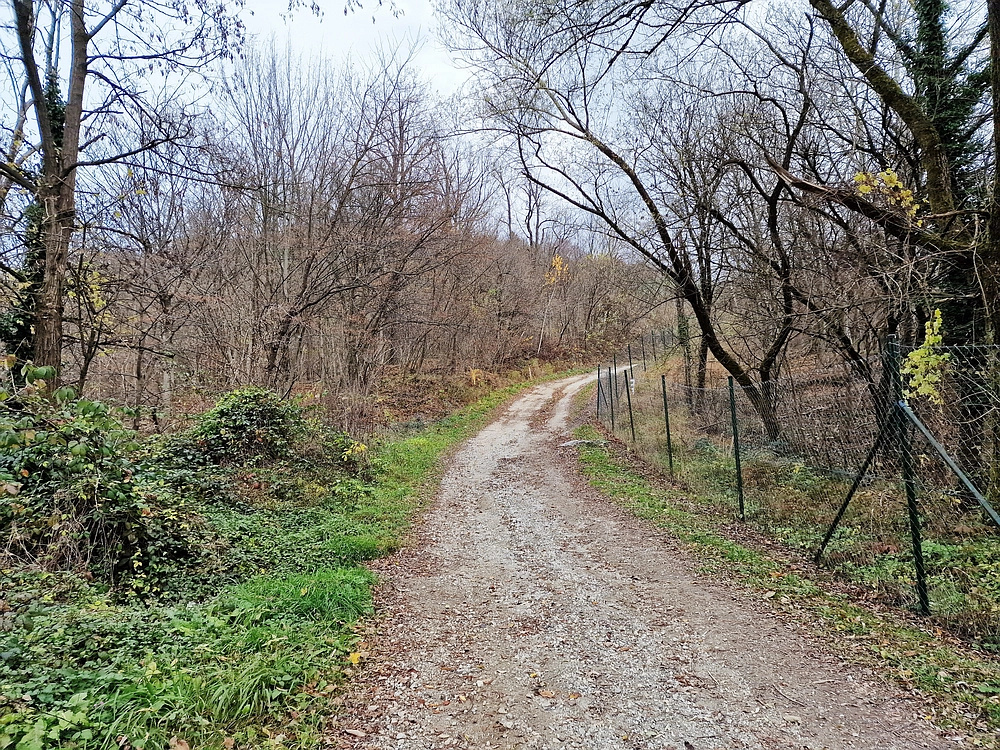 Žrebljev hrib, 15. 11. 2025