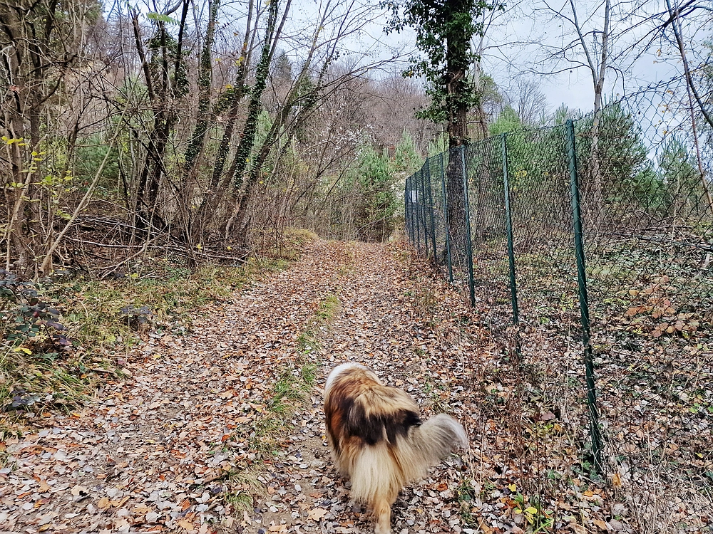 Žrebljev hrib, 15. 11. 2025