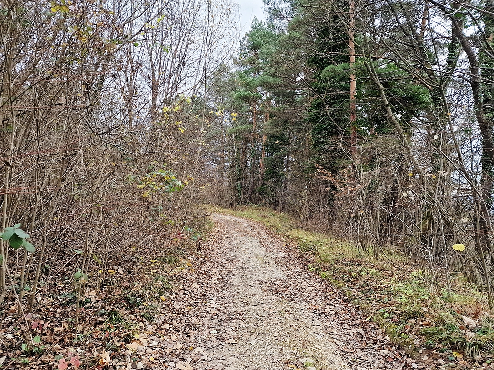 Žrebljev hrib, 15. 11. 2025
