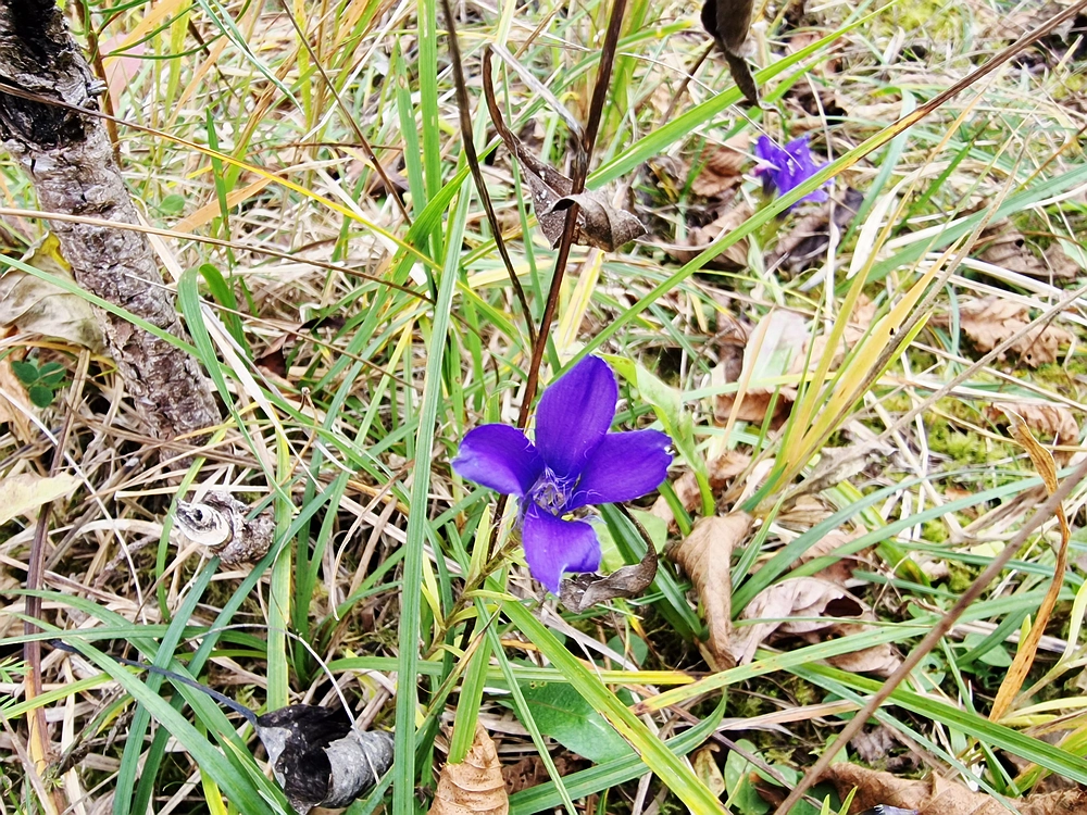 Žrebljev hrib, 15. 11. 2025