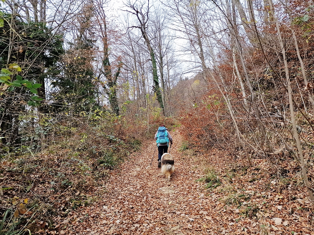 Žrebljev hrib, 15. 11. 2025