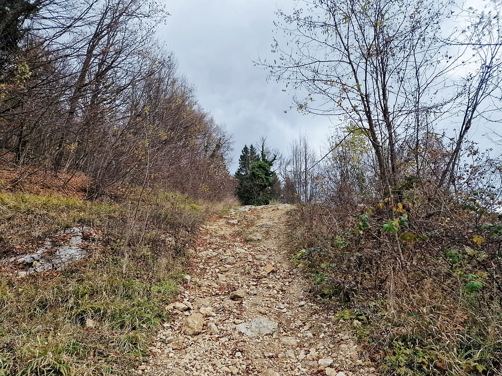 Žrebljev hrib, 15. 11. 2025