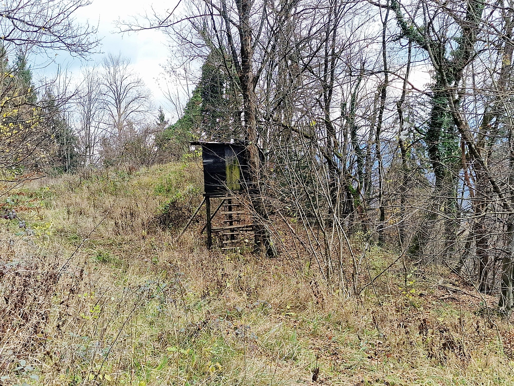Žrebljev hrib, 15. 11. 2025