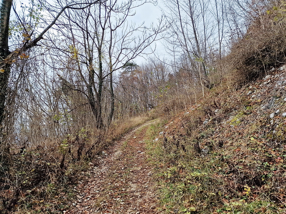 Žrebljev hrib, 15. 11. 2025