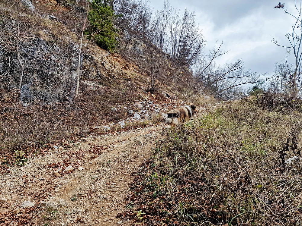 Žrebljev hrib, 15. 11. 2025
