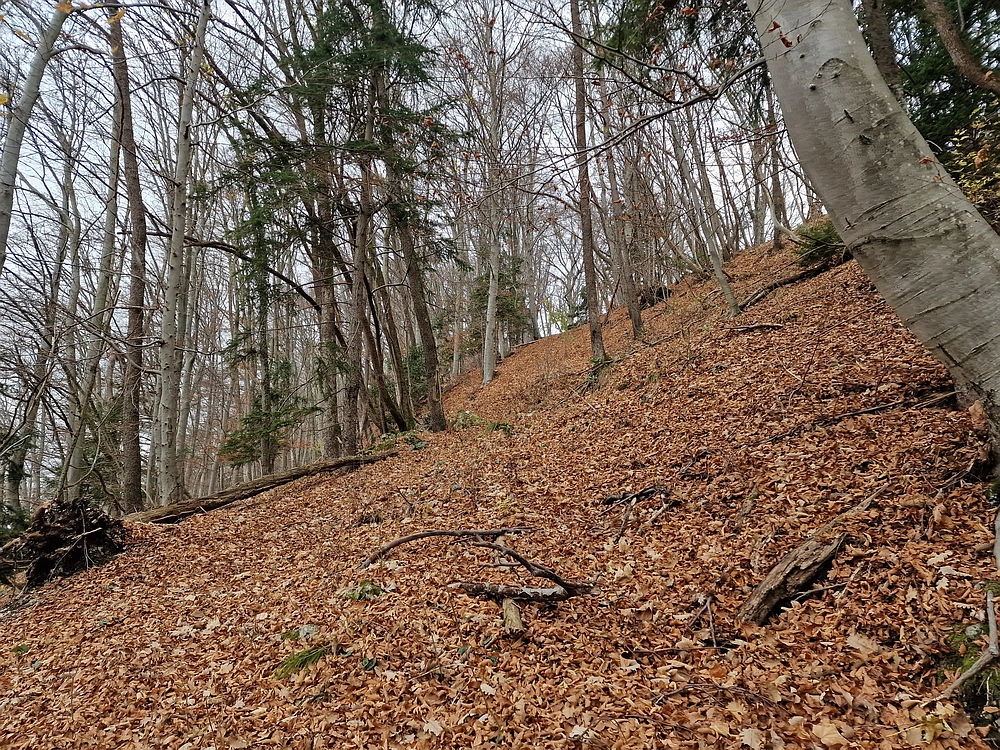 Žrebljev hrib, 15. 11. 2025