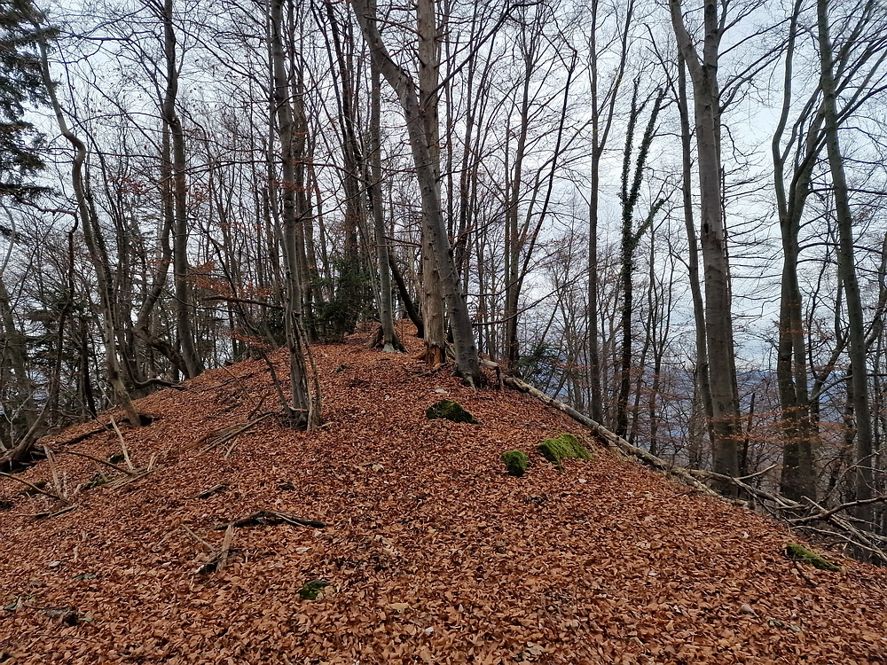 Žrebljev hrib, 15. 11. 2025