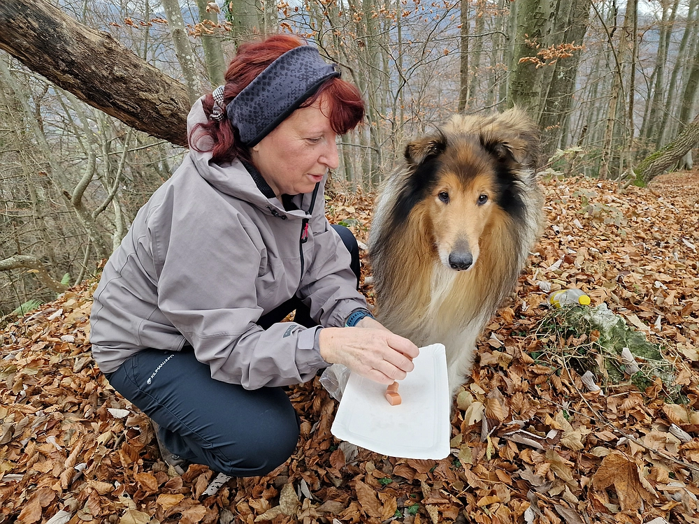 Žrebljev hrib, 15. 11. 2025