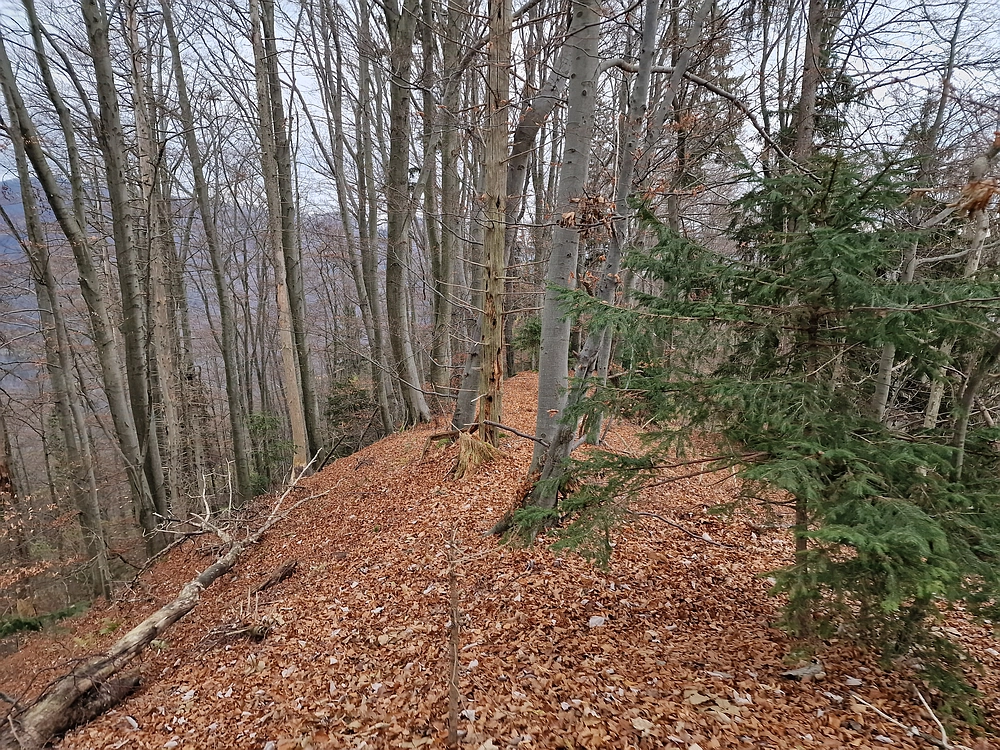 Žrebljev hrib, 15. 11. 2025