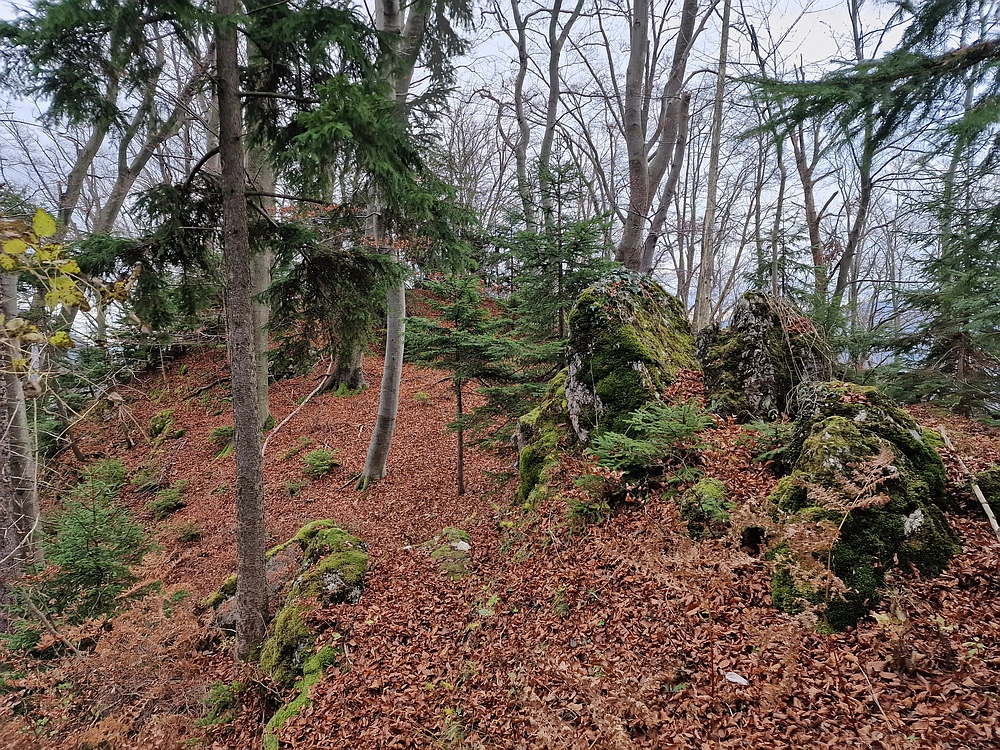 Žrebljev hrib, 15. 11. 2025