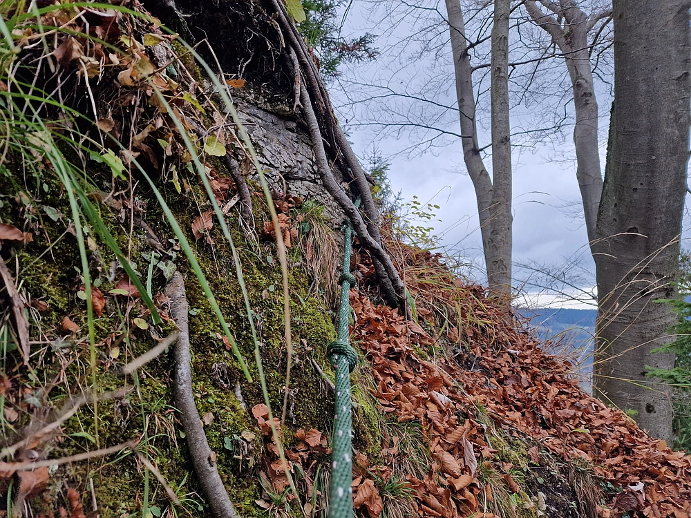 Žrebljev hrib, 15. 11. 2025