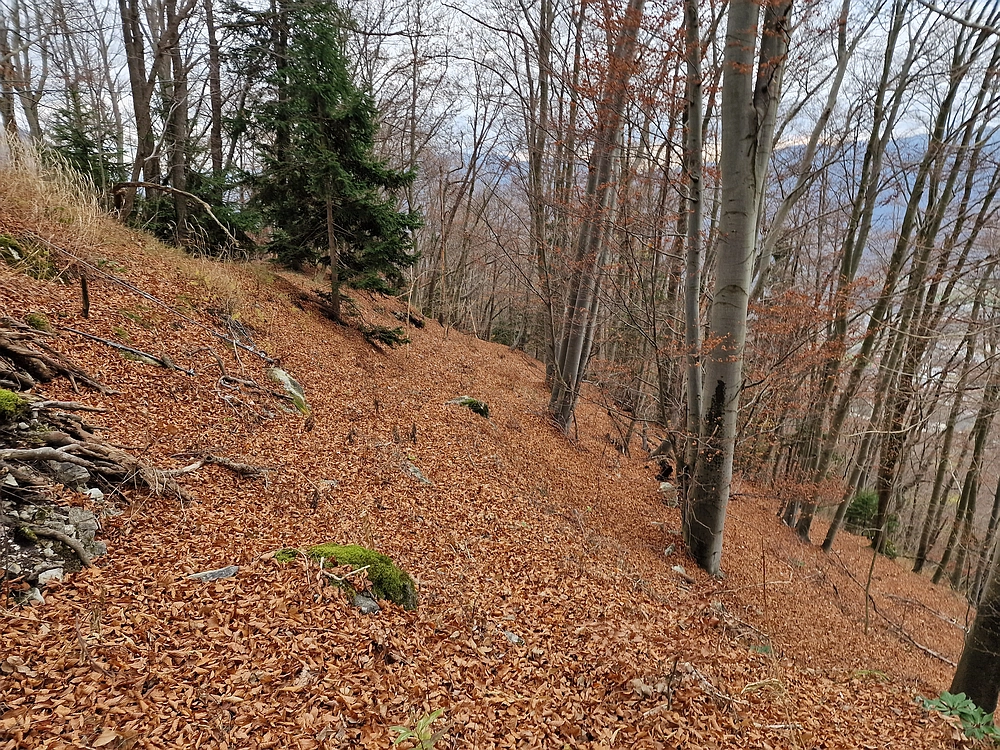 Žrebljev hrib, 15. 11. 2025