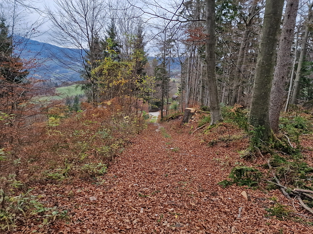 Žrebljev hrib, 15. 11. 2025