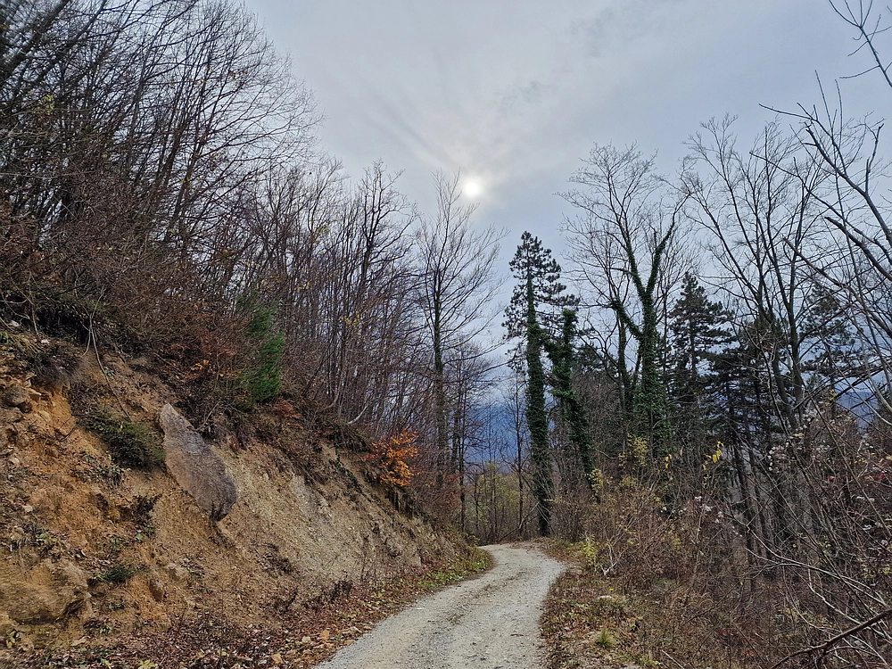 Žrebljev hrib, 15. 11. 2025