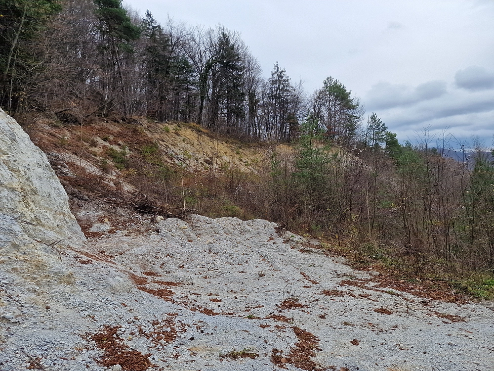 Žrebljev hrib, 15. 11. 2025