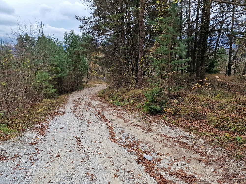 Žrebljev hrib, 15. 11. 2025