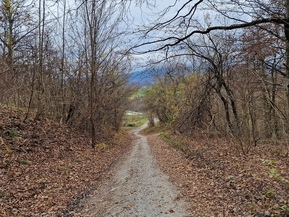 Žrebljev hrib, 15. 11. 2025
