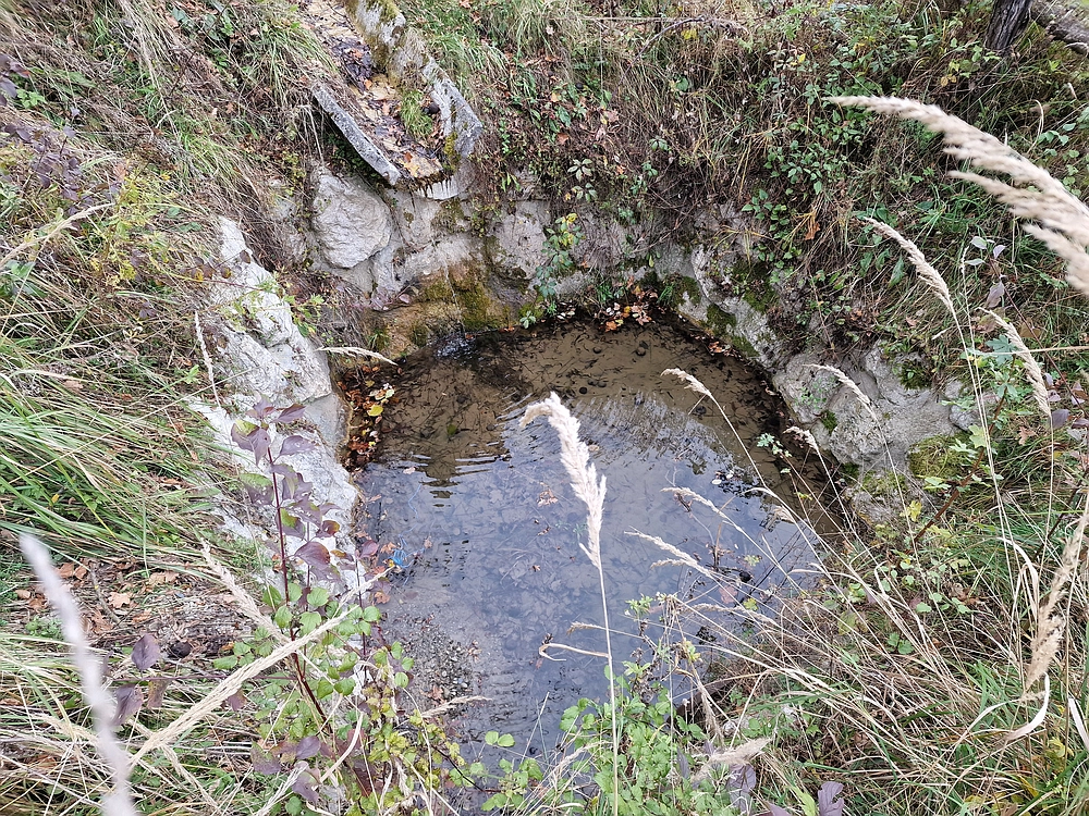 Žrebljev hrib, 15. 11. 2025