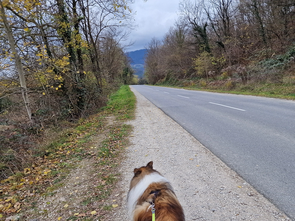 Žrebljev hrib, 15. 11. 2025