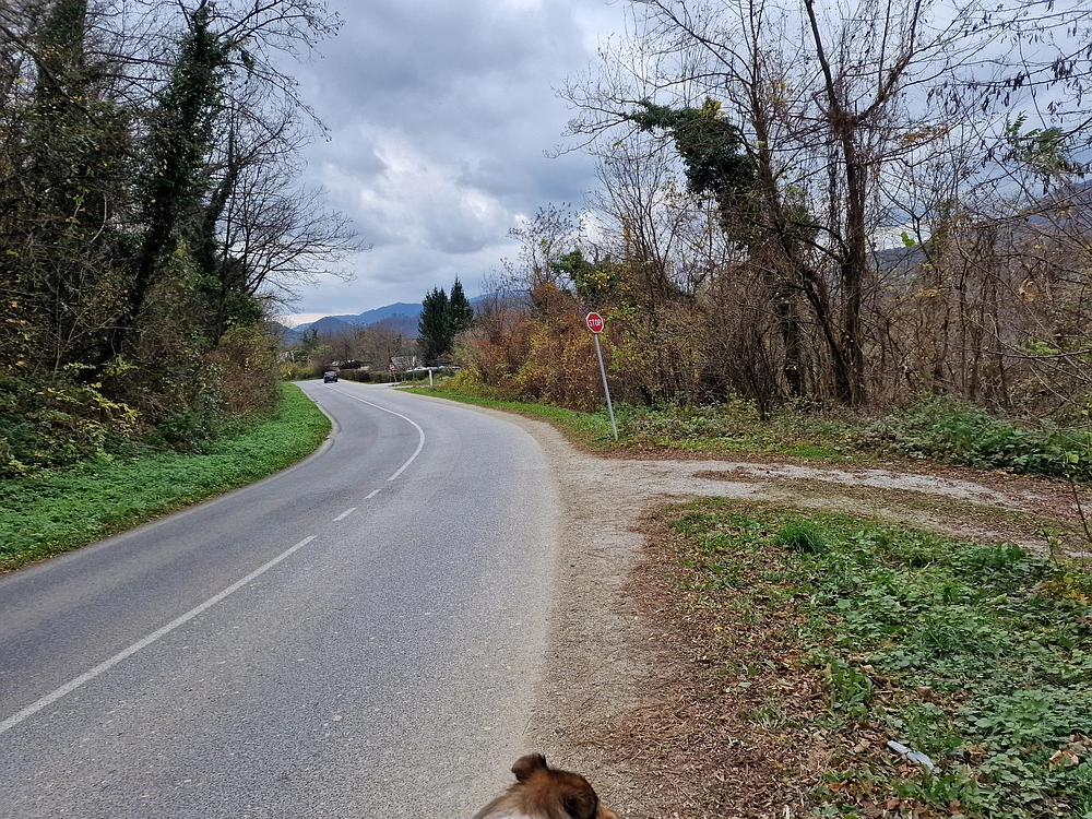 Žrebljev hrib, 15. 11. 2025