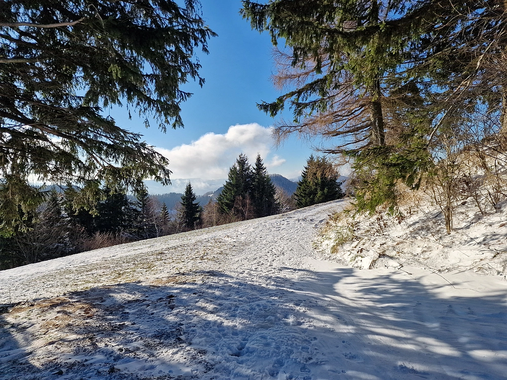 Vrhe - Čemšeniška planina, 23. 11. 2025