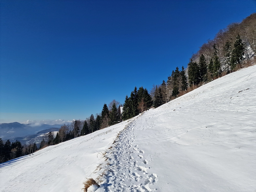 Vrhe - Čemšeniška planina, 23. 11. 2025