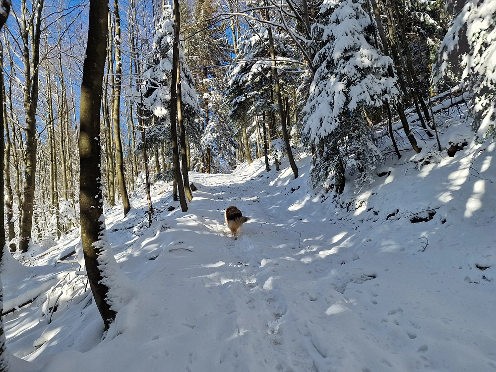 Vrhe - Čemšeniška planina, 23. 11. 2025
