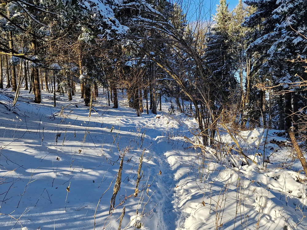Vrhe - Čemšeniška planina, 23. 11. 2025