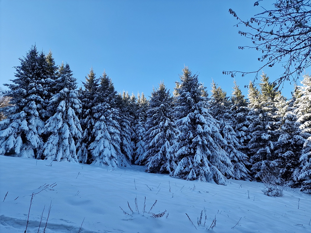 Vrhe - Čemšeniška planina, 23. 11. 2025