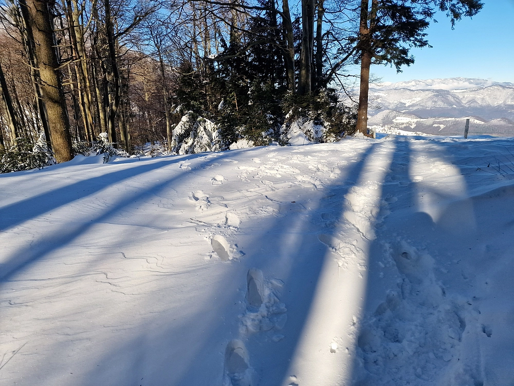 Vrhe - Čemšeniška planina, 23. 11. 2025