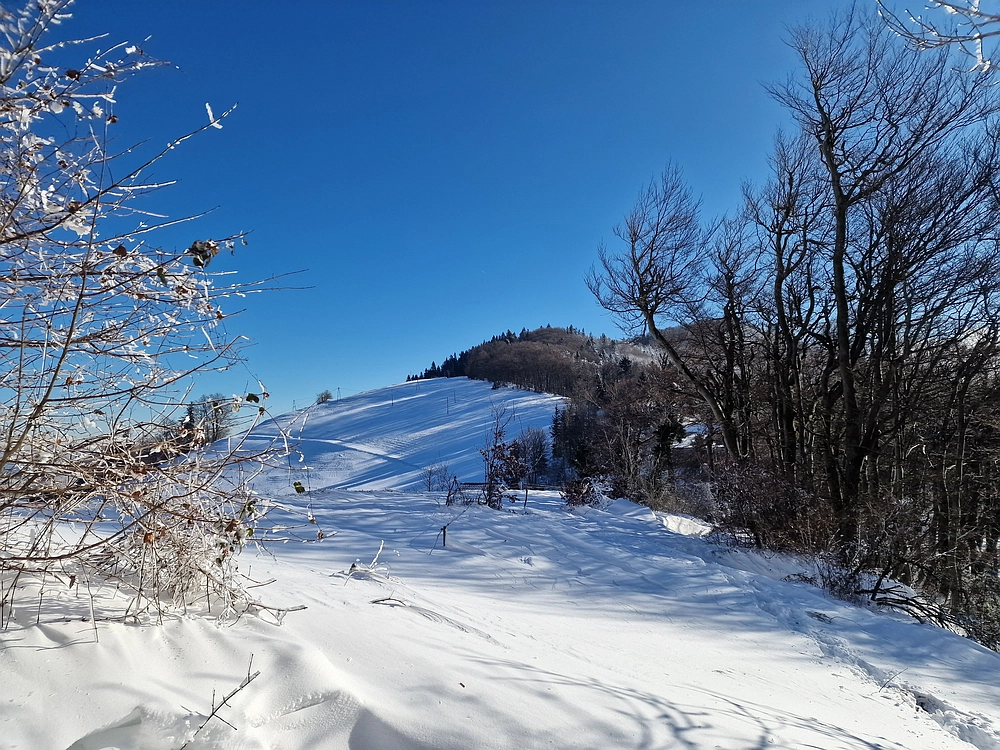 Vrhe - Čemšeniška planina, 23. 11. 2025