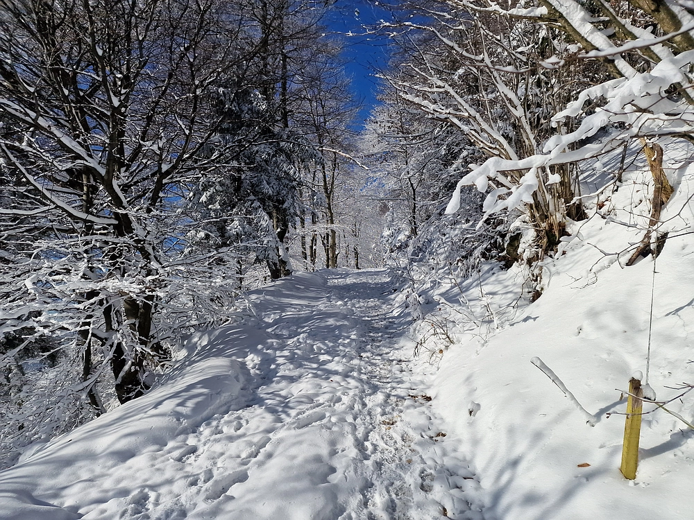 Vrhe - Čemšeniška planina, 23. 11. 2025
