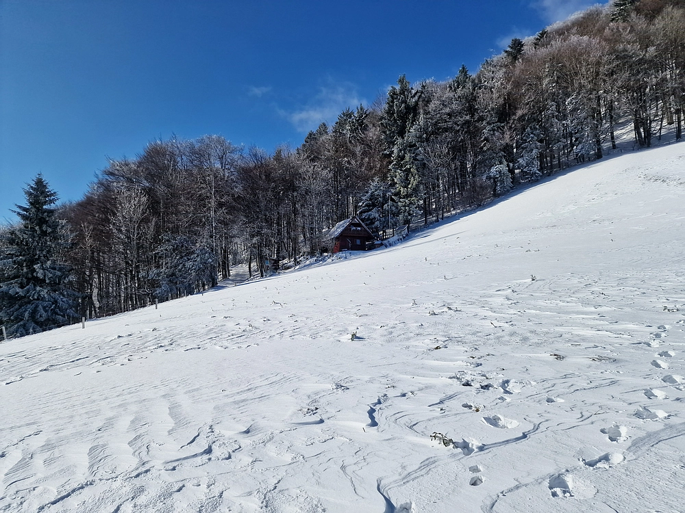 Vrhe - Čemšeniška planina, 23. 11. 2025