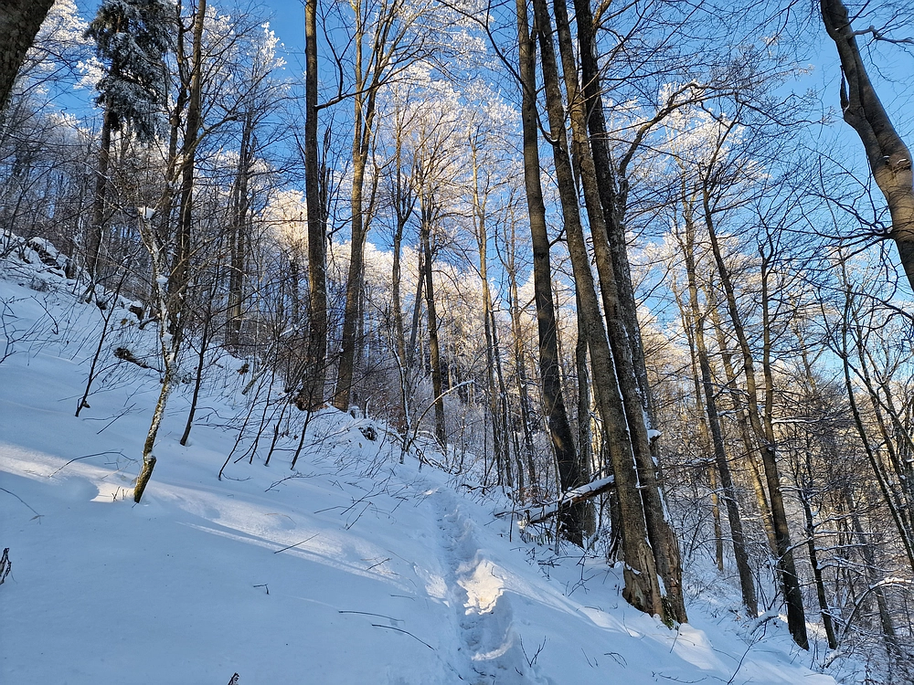 Vrhe - Čemšeniška planina, 23. 11. 2025