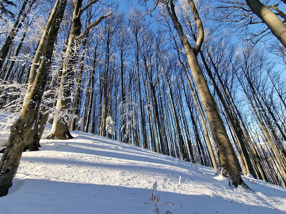 Vrhe - Čemšeniška planina, 23. 11. 2025