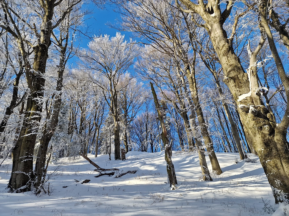 Vrhe - Čemšeniška planina, 23. 11. 2025