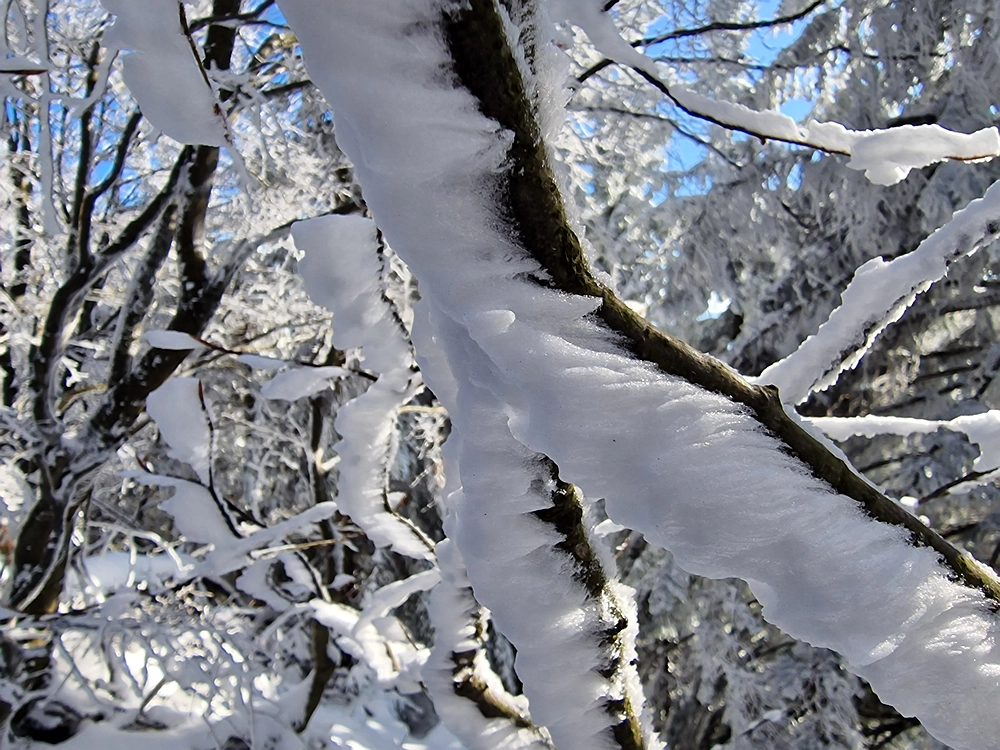Vrhe - Čemšeniška planina, 23. 11. 2025
