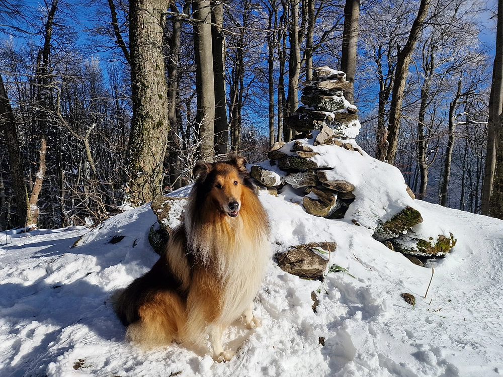 Vrhe - Čemšeniška planina, 23. 11. 2025