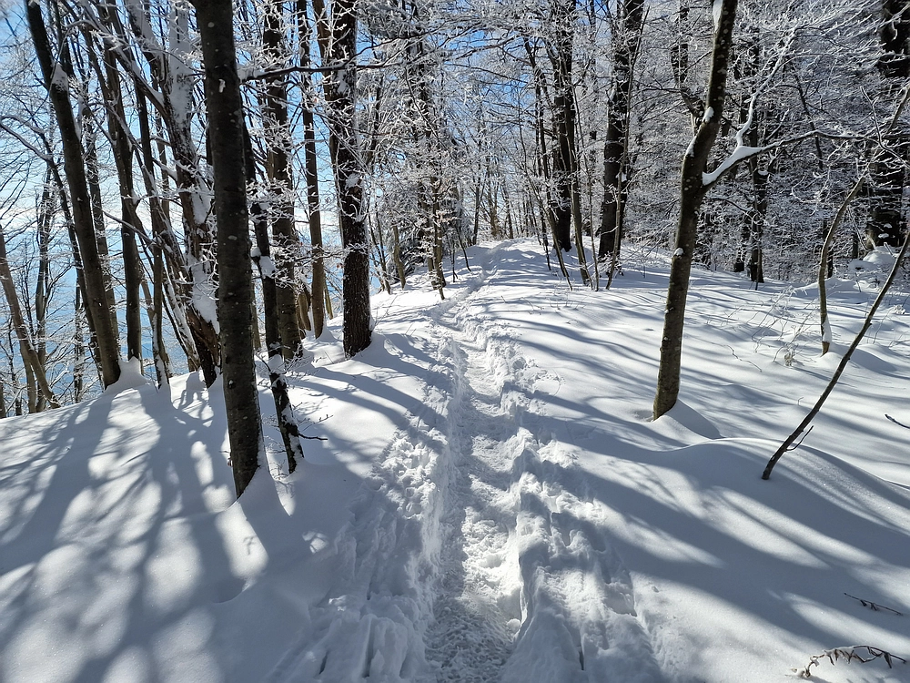 Vrhe - Čemšeniška planina, 23. 11. 2025