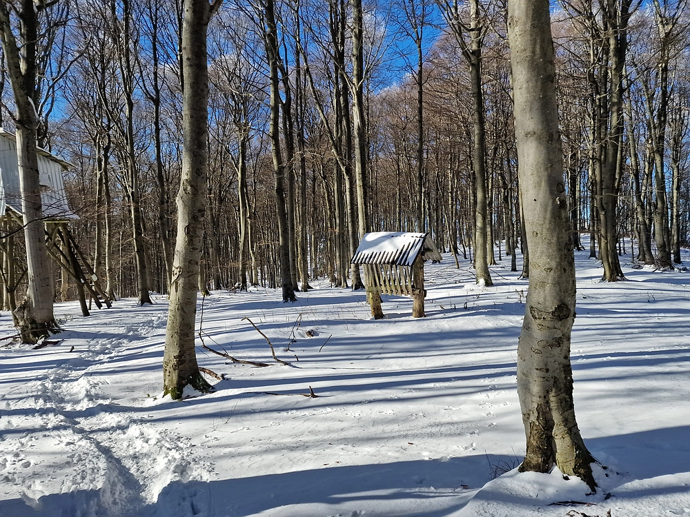 Vrhe - Čemšeniška planina, 23. 11. 2025