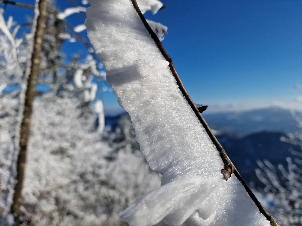 Vrhe - Čemšeniška planina, 23. 11. 2025