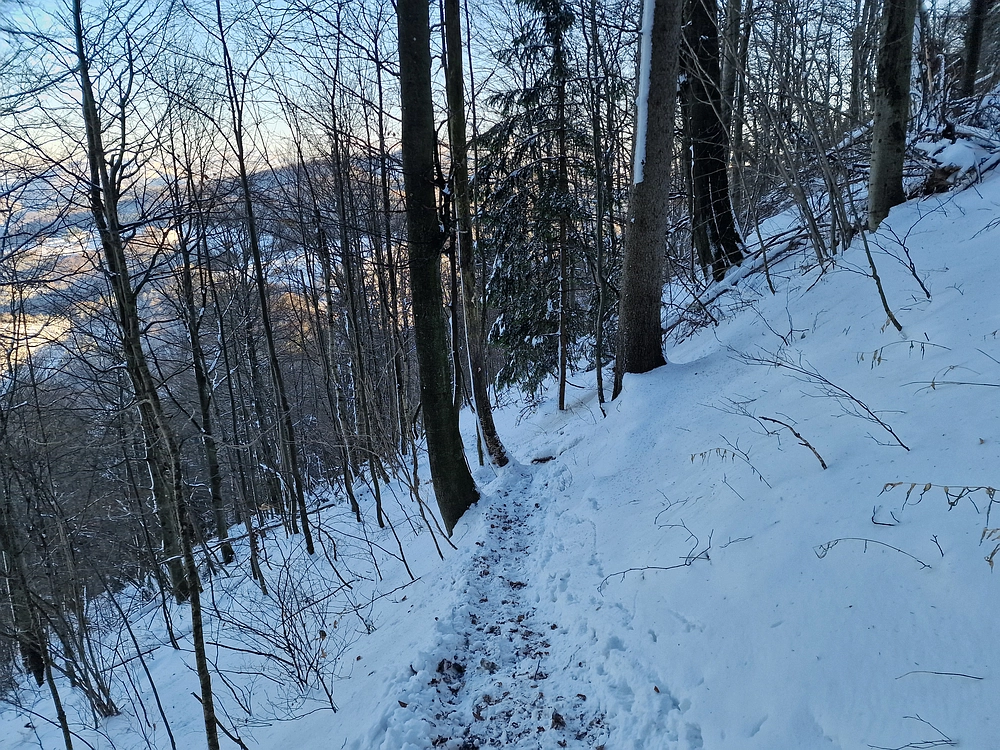 Vrhe - Čemšeniška planina, 23. 11. 2025