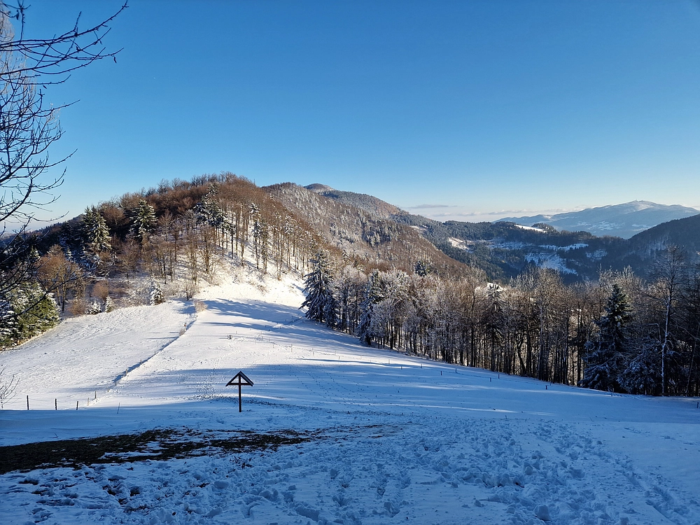 Vrhe - Čemšeniška planina, 23. 11. 2025