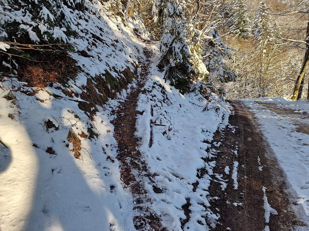 Vrhe - Čemšeniška planina, 23. 11. 2025
