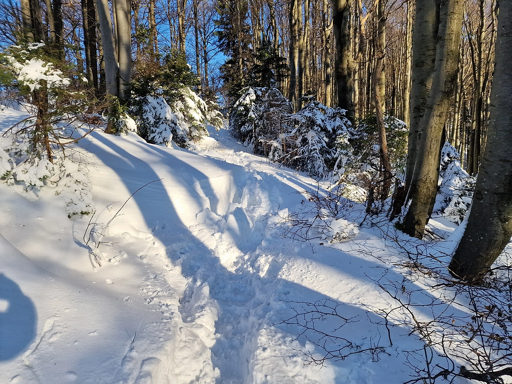 Vrhe - Čemšeniška planina, 23. 11. 2025