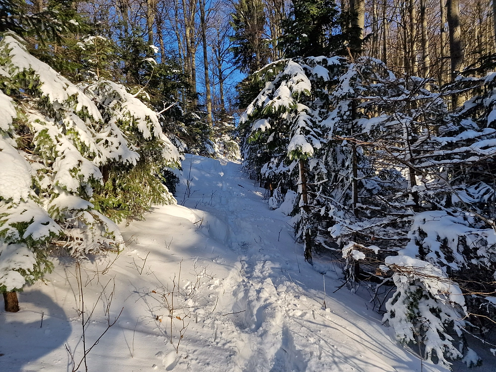 Vrhe - Čemšeniška planina, 23. 11. 2025