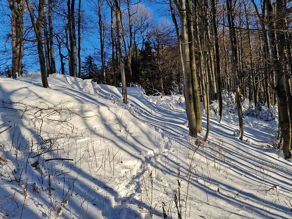 Vrhe - Čemšeniška planina, 23. 11. 2025