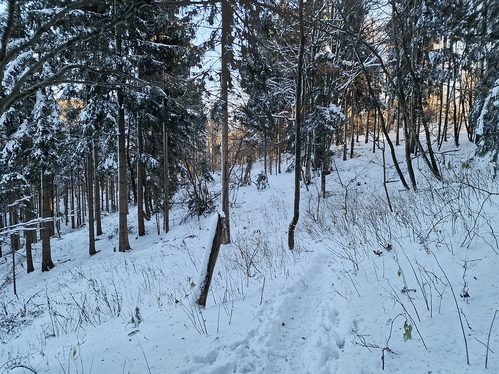 Vrhe - Čemšeniška planina, 23. 11. 2025