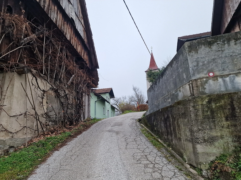 Ostrež, 7. 12. 2025